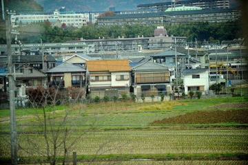 DSC_0029.jpg