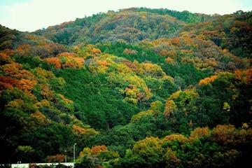 DSC_0032.jpg