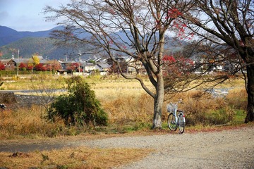 DSC_0052.jpg
