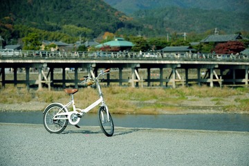 DSC_0065.jpg