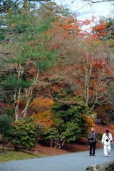 DSC_0145x.jpg