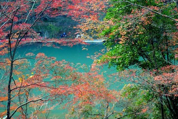 DSC_0160.jpg