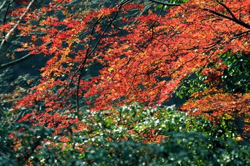 DSC_0176.jpg
