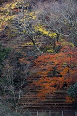 DSC_0295.jpg