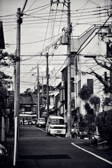 DSC_0384.jpg