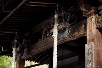 DSC_0462.jpg