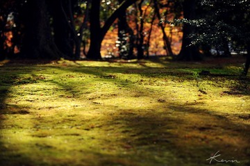 DSC_0403.jpg