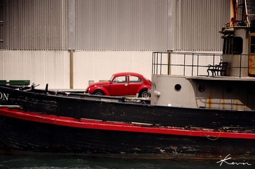 DSC_3195x.jpg