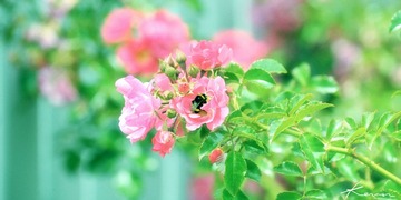 DSC_3918x.jpg