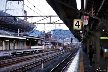 DSC_0507x.jpg