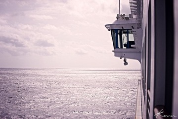 DSC_1373xx.jpg
