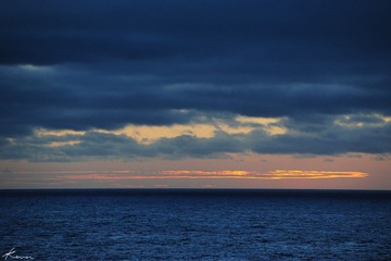 DSC_4768xx.jpg