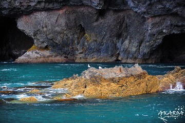 DSC_3420x.jpg