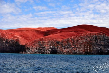 DSC_348xx2.jpg
