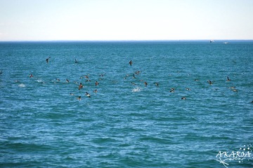 DSC_3705xx.jpg