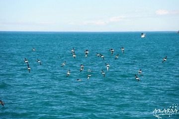DSC_3729x.jpg