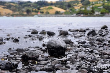 DSC_3930xx.jpg