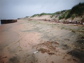 R0010987.jpg