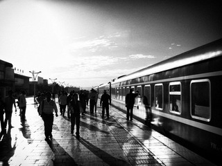IMG_3178x.jpg