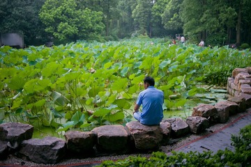 DSC_4136x.jpg