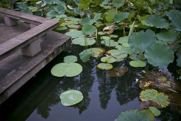 DSC_4143x.jpg