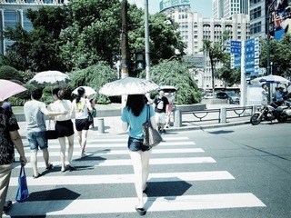 R1002559.jpg