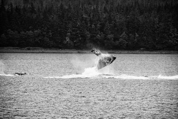 DSC_6386s.jpg