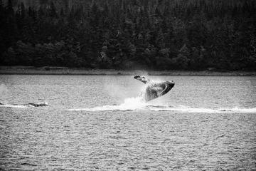 DSC_6387s.jpg