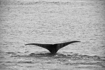 DSC_6808s.jpg
