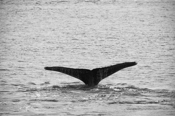 DSC_6809s.jpg