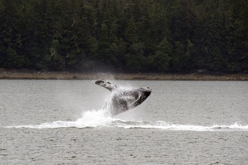 DSC_6387xs.jpg