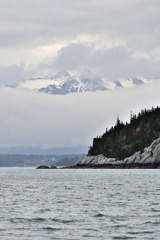 DSC_7126.jpg