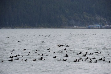 DSC_7191.jpg