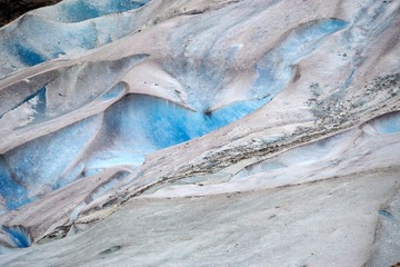 DSC_7666.jpg