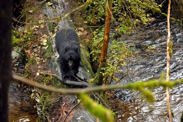 DSC_8529.jpg