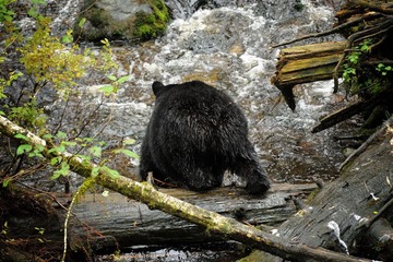 DSC_8565.jpg