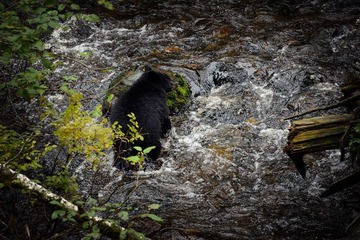 DSC_8580.jpg