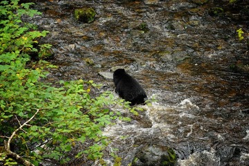 DSC_8584.jpg