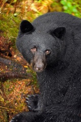DSC_8667.jpg