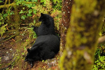 DSC_8764.jpg