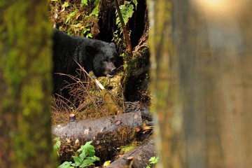 DSC_8778.jpg