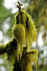 DSC_8775.jpg