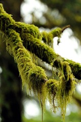 DSC_8776.jpg