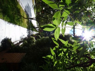 R1006245.JPG