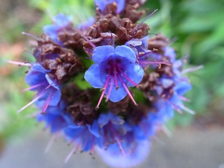 R1006269.JPG