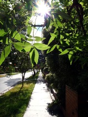 R1006245s.jpg