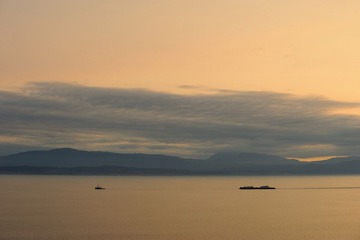 DSC_5550.jpg