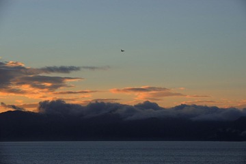 DSC_5984.jpg