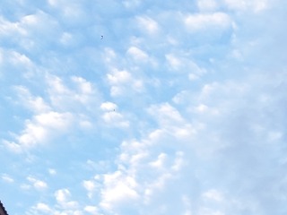 1306654