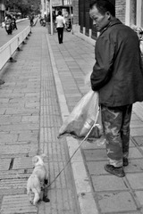 201209082398.JPG